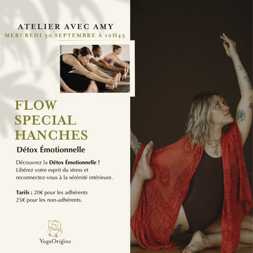 Flow Spécial Hanches